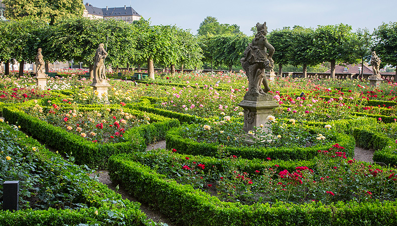 Image: Jardin de roses de Bamberg